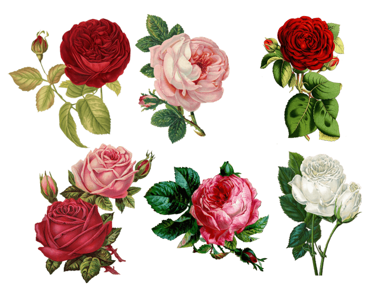 floare