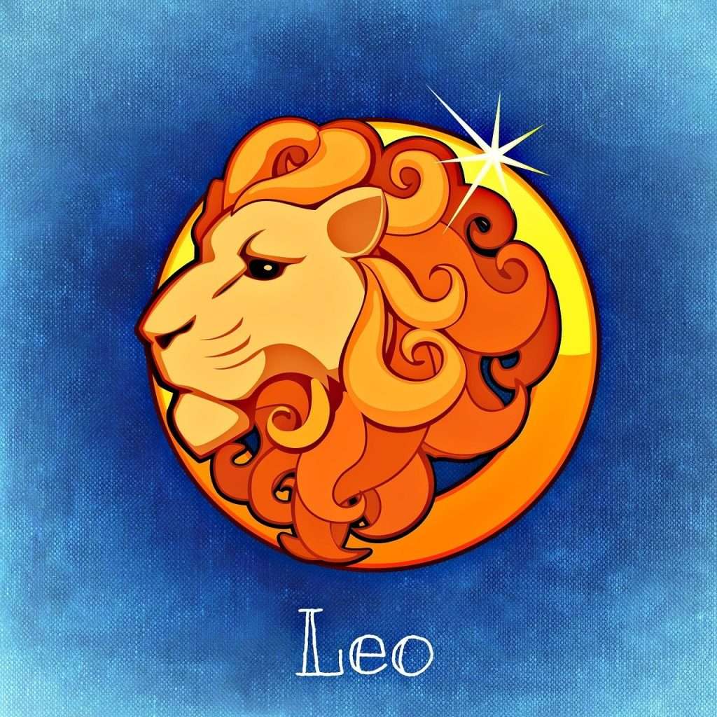 fecioara si capricorn