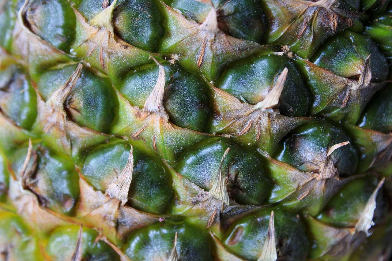 ce inseamna raw vegan