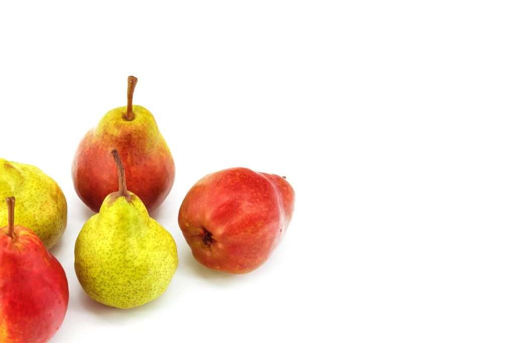 ce inseamna vegan