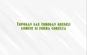 Topogan sau tobogan greseli comune si forma corecta