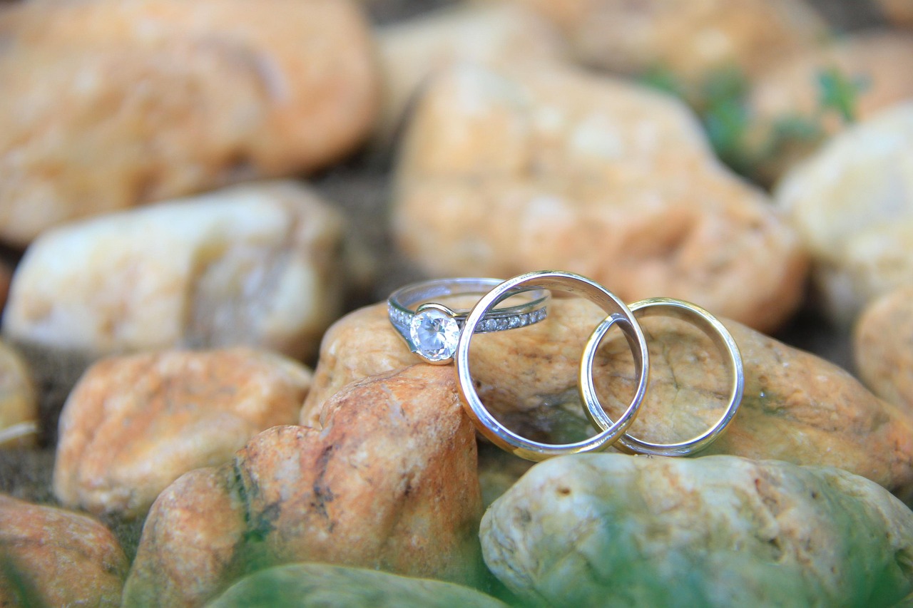 flavia mihasan divort