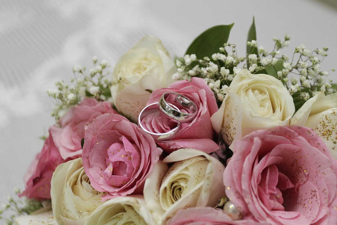 horia brenciu divort