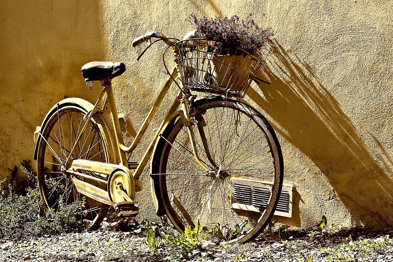 cate calorii arzi pe bicicleta statica