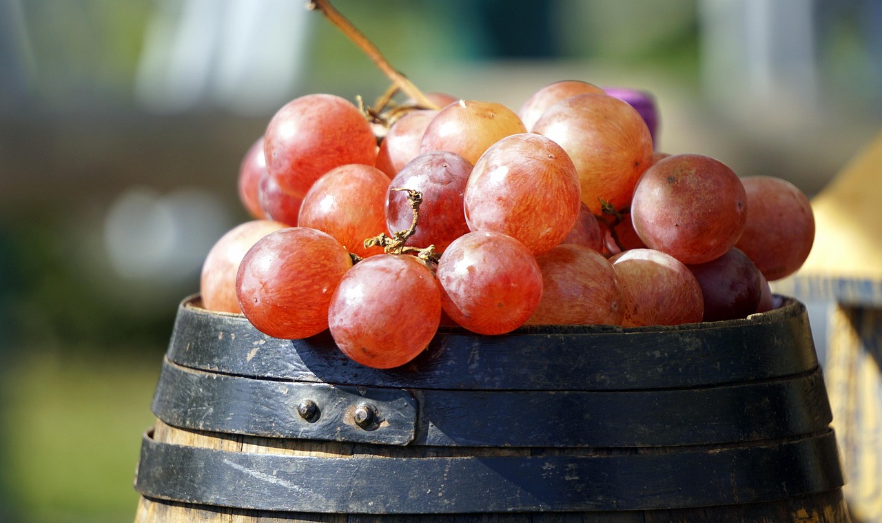 dieta fodmap